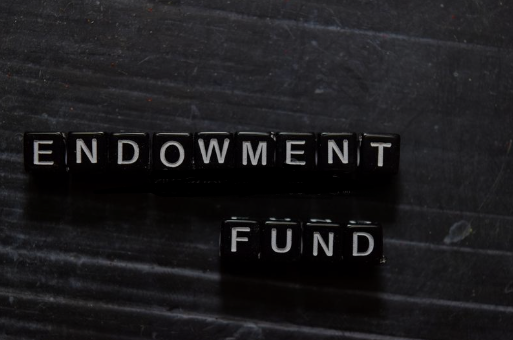 Endowment fund